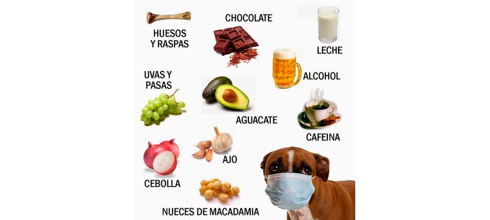 Alimentos