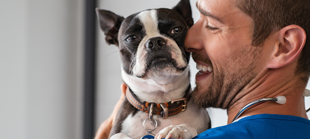 prevención de enfermedades parasitarias